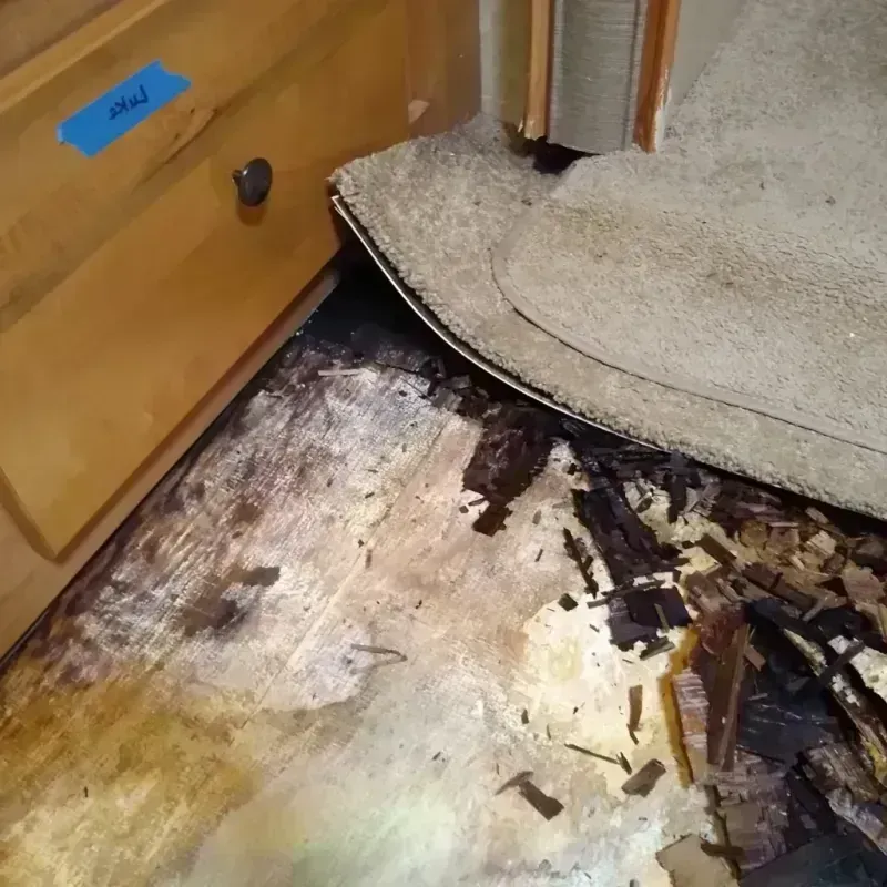 Wood Floor Water Damage in Wellborn, FL